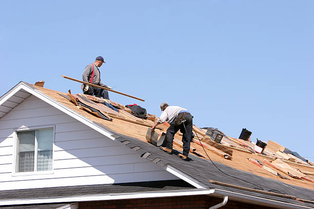 Best Asphalt Shingles Roofing  in Dash Point, WA